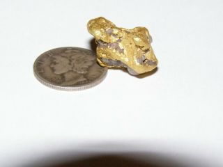 Natural Gold & Quartz Nugget 9.  5 Grams 0.  3 Oz From Sonora California Area & Case