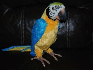 Furreal Friends Squawkers Mccaw Talking Interactive Parrot Great