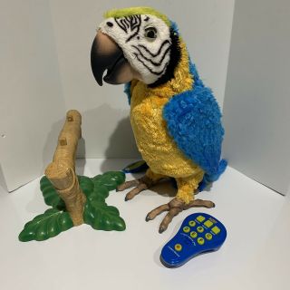 Furreal Squawkers Mccaw Talking Interactive Parrot Hasbro Remote Perch See Video