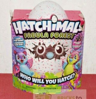 Spin Master - Hatchimals Fabula Forest - Hatching Egg With Interactive Tigrette