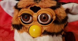 Tiger Electronics Furby Tiger 1998 Model 70 - 800 Black Hair With Tags 3