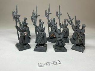 Warhammer Aos High Elves - High Elf - Phoenix Guard - Metal Oop X 9