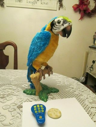 Furreal Friends Mccaw Parrot Squawkers Remote Cracker Hasbro Euc