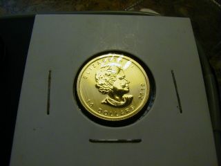 1/4 Oz.  9999 Canadian Gold Coin 2010