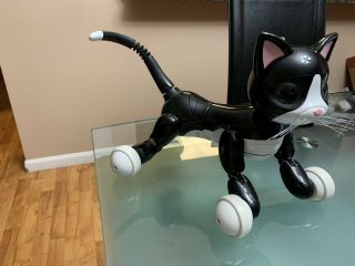 Zoomer Kitty Interactive Robot Black Cat By Spin Master True Vision Technology