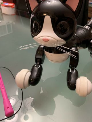Zoomer Kitty Interactive Robot Black Cat by Spin Master True Vision Technology 2