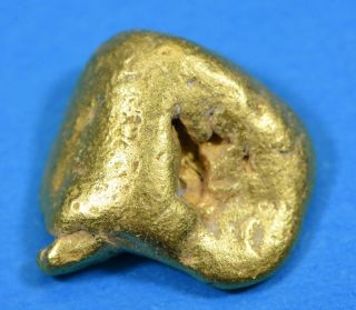 399 Alaskan Bc Natural Gold Nugget 7.  83 Grams
