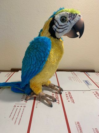2007 Hasbro Squawkers Macaw Talking Parrot FURREAL FRIENDS Bird Only 3