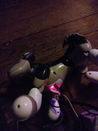 Zoomer Best Friend Shadow Robotic Interactive Dog Puppy 3