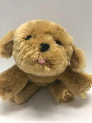 Little Live Pets Snuggles My Dream Puppy Interactive Dog Plush Stuffed Brown