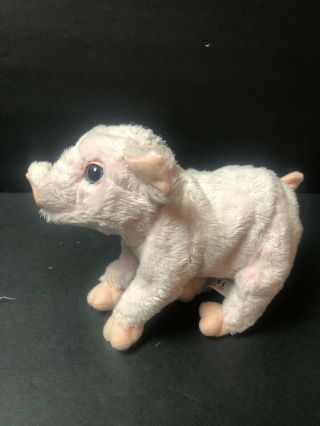 FURREAL Newborn Baby PIG Piglet 2006 MOVES,  OINKS 7 