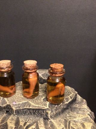3 Miniature Jars Of Body Parts - Leatherface Dr Jekyll Sideshow Horror Diorama