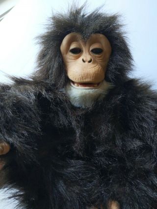 Hasbro Fur Real Friends Cuddle Chimp Chimpanzee Interactive Monkey - Furreal