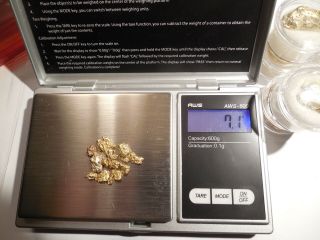 7.  1 Gram Gold Nuggets Eureka