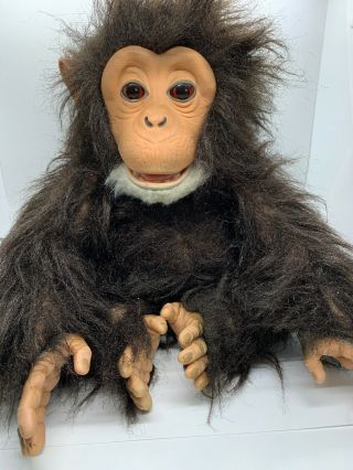 Furreal Friends Cuddle Chimp Fur Real Monkey Interactive Animal Plush Pet