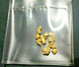 Raw Gold Nuggets,  From Chicken Alaska,  Mined In The 70 