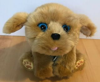 Little Live Pets Snuggle My Dream Puppy Interactive Brown Dog Animal Toy Animate