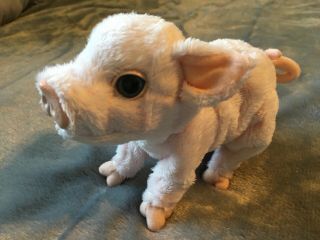 Furreal Newborn Baby Pig Piglet 2006 Moves,  Oinks 7 " Interactive Hasbro