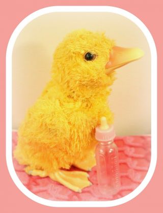 ❤️furreal Friends 7 " Newborn Baby Duck Duckling Chick Bird Interactive Works❤️