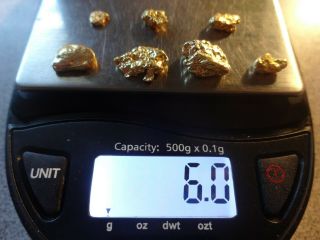 7 California Gold Nuggets 6.  0 Grams Pickers Coloma,  Ca.  - Gold 1st.  Discovered