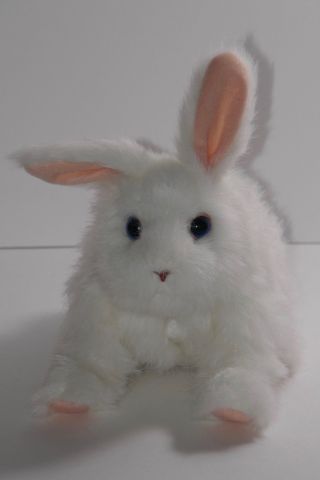 Hasbro Furreal Friends Hop N Cuddle White Bunny Rabbit Interactive Moves Noises
