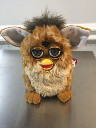 Furby 1998 Tiger Electronics Model 70 - 800 Brown Fur Gray Eyes With Tag