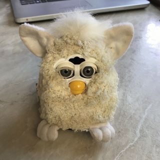 Curly White Furby Baby
