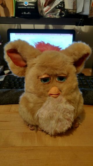 2005 Larger Furby Large Feet Brown,  Pink with Blue Eyes Plays games 2