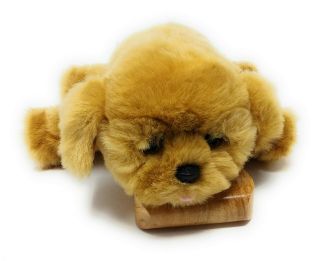 Little Live Pets Snuggle My Dream Puppy Interactive Dog Stuffed Animal Toy