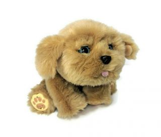 Little Live Pets Snuggles My Dream Puppy Interactive Dog Plush Cute Brown