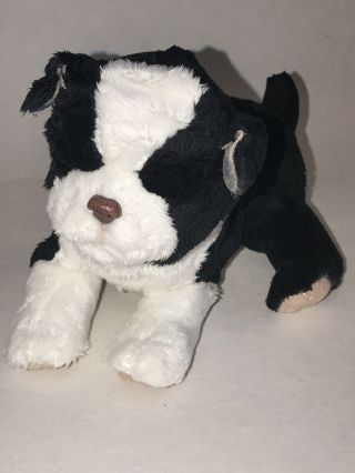 Hasbro 2009 Furreal Friends 7 " Black & White Border Collie Puppy Dog Newborn