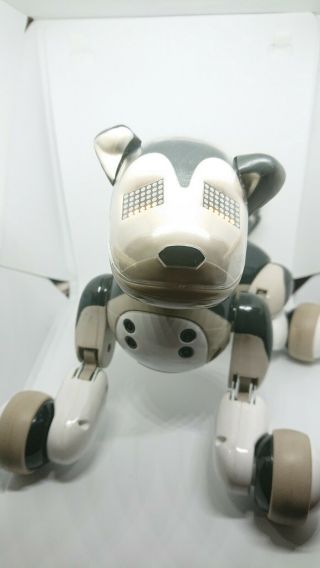 Zoomer Best Friend Shadow Robotic Interactive Dog Puppy