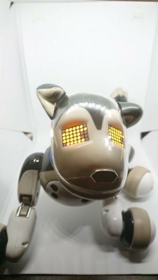 Zoomer Best Friend Shadow Robotic Interactive Dog Puppy 2