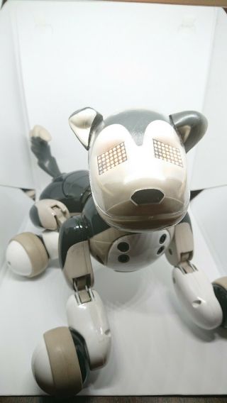 Zoomer Best Friend Shadow Robotic Interactive Dog Puppy 3