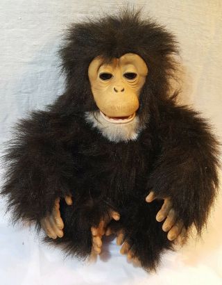 Furreal Friends Cuddle Chimp Chimpanzee Interactive Pets 75798
