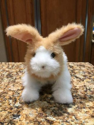 Hasbro Toy Furreal Friends Hop N Cuddle Bunnies Interactive Bunny Rabbit Toy