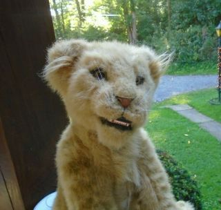 Wow Wee Alive Tan Lion Cub Interactive Blinking Eyes Moving Mouth Cub Sounds2007 3
