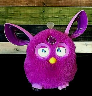 Pink/Purple Hasbro 2016 Furby Bluetooth Connect Interactive Talking Toy 2