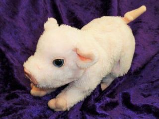 Furreal Newborn Baby Pig Plush Toy 2006 Moves,  Oinks 7 " X5 " Interactive