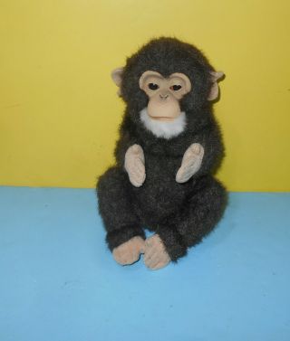 Hasbro Furreal Fur Real Friends Cuddle Chimp Chimpanzee 8 " Furreal Baby Monkey