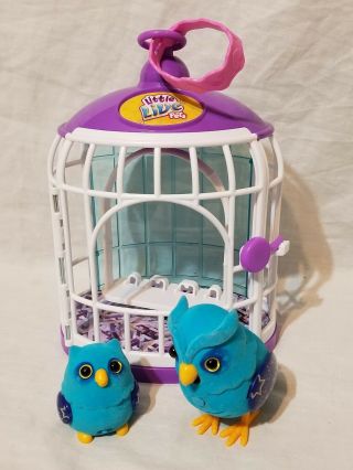 Little Live Pets Tweet Talking Birds With Cage
