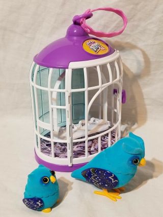 Little Live Pets Tweet Talking Birds with Cage 2