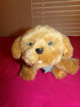 Little Live Pets Snuggle My Dream Puppy Interactive Dog Stuffed Animal Toy.