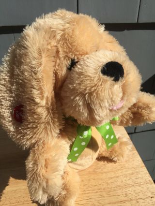Cuddle Barn My Little Puppy - Animated Plush - Happy/ Clap Your Hands Song - Read 2
