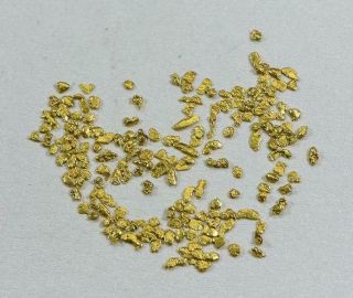 California Gold Nuggets 3 Grams Of 16 Mesh Gold Authentic Natural American Rive
