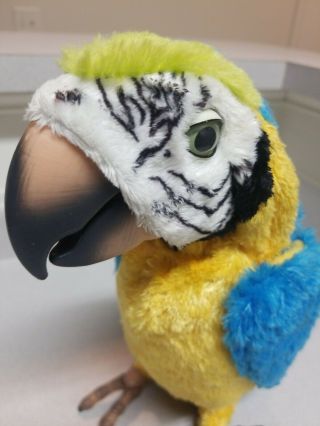 2007 Hasbro Squawkers Macaw Talking Parrot FURREAL FRIENDS Bird Only 2