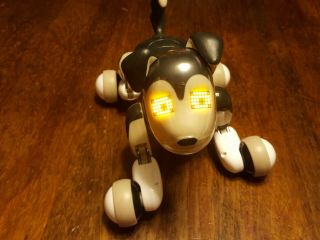 Zoomer ' s Best Friend Shadow Interactive Robotic Dog 2012 Spin Master 5,  years 2