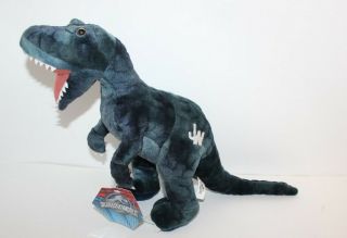 Jurassic World Blue Raptor Plush Toy 15 " Universal Studios Swing Tag
