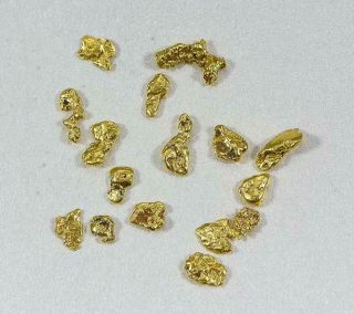 California Gold Nuggets 3 Grams Of 8 Mesh Gold Authentic Natural American River