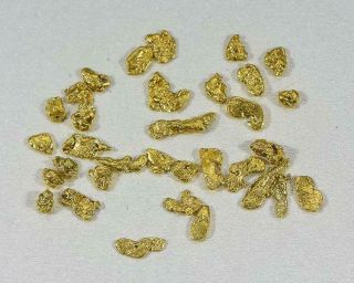 California Gold Nuggets 3 Grams Of 10 - 12 Mesh Gold Authentic Natural American R